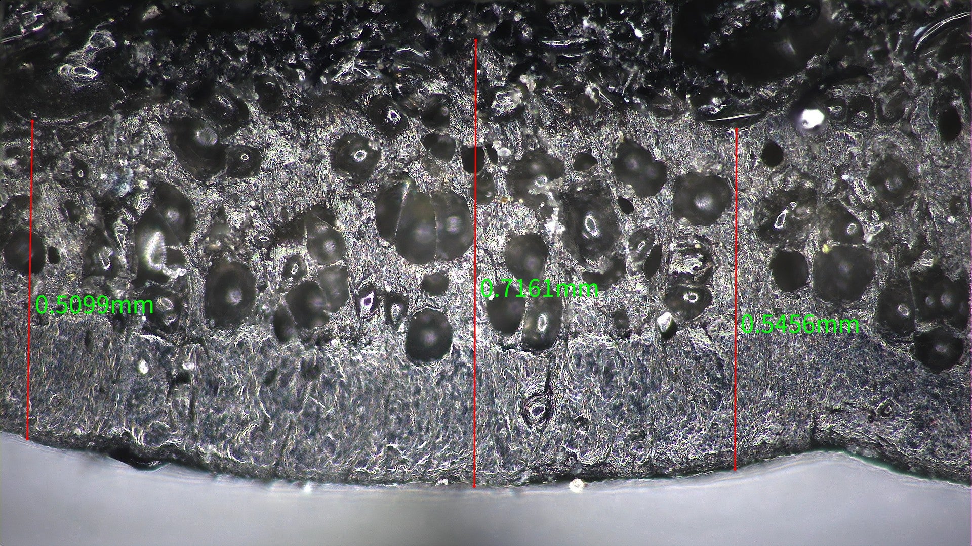 Digital Microscope