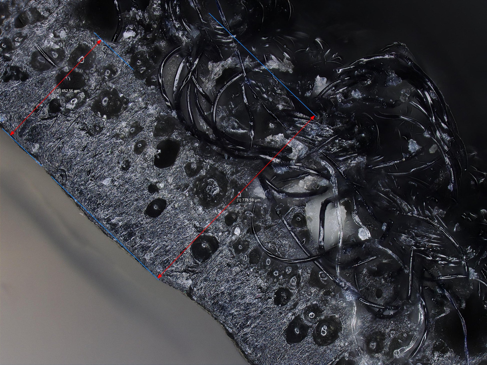 Digital Microscope