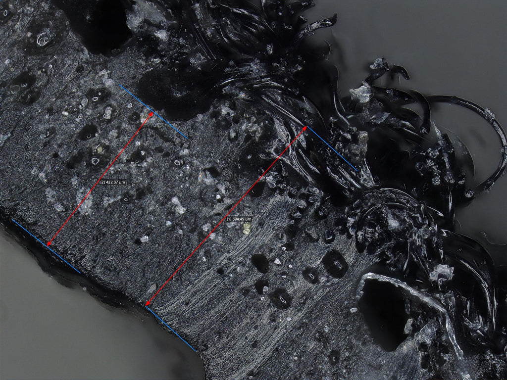 Digital Microscope