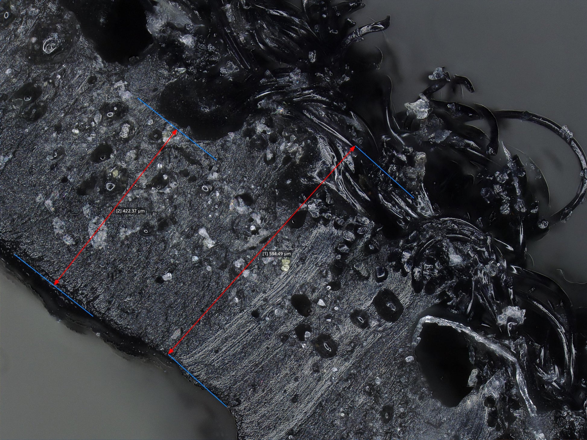 Digital Microscope